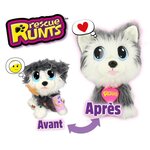 RESCUE RUNTS Le Husky a soigner