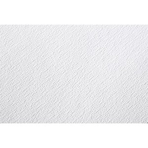 Paquet de 25 feuilles de papier dessin Etival grain classic 50x65 cm 300g, Blanc CLAIREFONTAINE