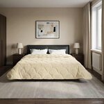 vidaXL Duvet d'hiver Crème 200 x 220 cm Microfibre et polaire Teddy