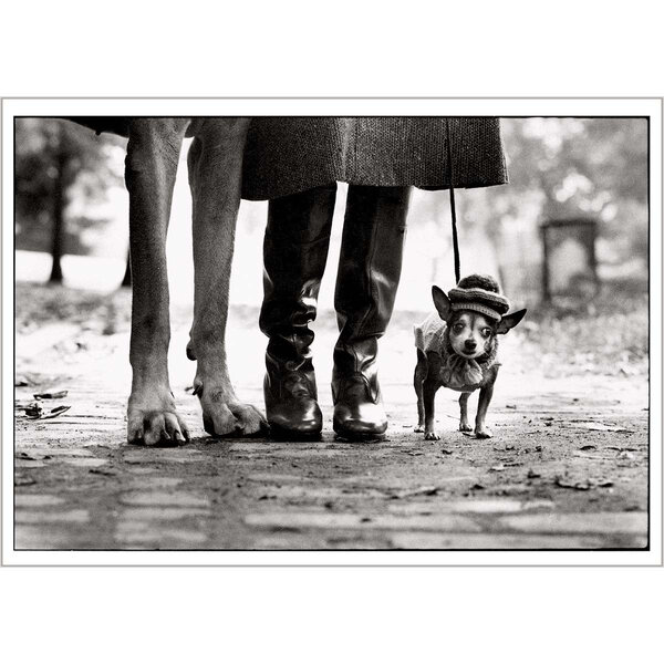 Usa  New York  1974  Felix  Gladys And Rover - Draeger paris