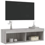 vidaXL Meuble TV avec lumières LED sonoma gris 100x30x30 cm