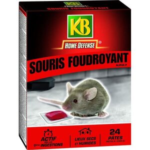 Souris foudroyant pates 240g