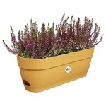 Balconnière ovale avec réservoir 50 x 18 2 hauteur 17 cm - Jaune miel