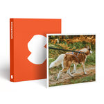 SMARTBOX - Coffret Cadeau 2h de Cani-Balade en famille près de Valence - Sport & Aventure