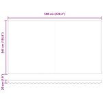vidaXL Auvent Rétractable Gris clair 600 ×350 cm tissu