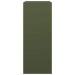 vidaXL Portant de bois de chauffage vert 60x40x100 cm acier