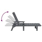 vidaXL Chaises longues 2 Pièces Gris clair 162 x 53 x 98 5 cm en HDPE