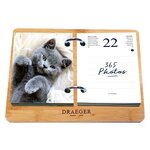 Coffret Éphéméride Agenda Yvon 2025 - Edition Chat - Draeger paris
