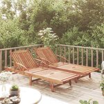 vidaXL Chaises longues lot de 2 Bois d'acacia solide
