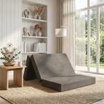 vidaXL Canapé-lit pliable 80 x 67 x 45 cm Gris clair
