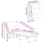 vidaXL Transat pliant avec coussin Anthracite