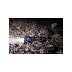 Lampe torche Indestructible F10 PRO LED 300 lm IP67 avec 3 piles AA