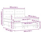 vidaXL Lit à ressorts avec matelas Noir 200 x 200 cm Velours