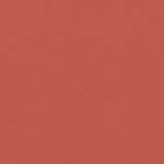 vidaXL Auvent latéral rétractable terre cuite 220x1000 cm