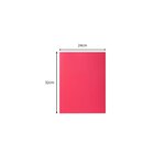 Paquet De 10 Chemises Rock''s 210 - 24x32cm - Framboise - X 10 - Exacompta