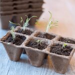 Nature Kit de propagateur 200 Pièces