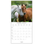 Grand Calendrier Mural 29x29 Cm - 2025 - Chevaux - Draeger paris