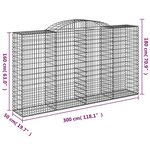 vidaXL Paniers à gabions arqués 2 Pièces 300x50x160/180 cm fer galvanisé