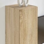 vidaXL Meuble TV mural Sonoma 30 x 31 x 60 cm Bois d'ingénierie