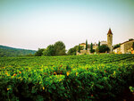 SMARTBOX - Coffret Cadeau Dégustation passionnante de 11 vins biologiques du Domaine de Sauzet au sud de Montpellier -  Gastronomie