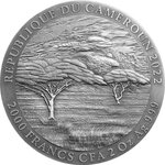 Pièce de monnaie en Argent 2000 Francs g 62.2 (2 oz) Millésime 2022 Expressions of Wildlife BUFFALO