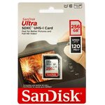 Carte mémoire flash - SANDISK - 256GB