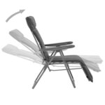 vidaXL Chaises pliables de jardin avec coussins lot de 2 Gris