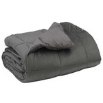 vidaXL Duvet d'hiver 140 x 220 cm Hiver Microfibre (100  polyester)