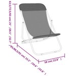 vidaXL Chaises plage pliantes lot de 2 textilène acier enduit poudre