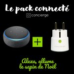 Alexa  allume le sapin : echo dot 3 + 1 prise concierge bastille