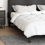 vidaXL Couettes & Duvets Blanc 240 x 220 cm Bas