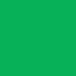 Ramette 250 Feuilles Papier 160g A4 210x297 mm Certifié FSC vert billard TROPHÉE
