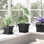 vidaXL Plateau carré à fleurs 24 pc Noir 15 x 15 x 2 cm Plastique