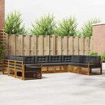 vidaXL Ensemble de canapés d'extérieur 9 Pièces Naturel et Anthracite