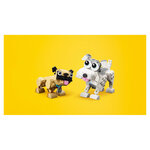 31137  les Adorables chiens