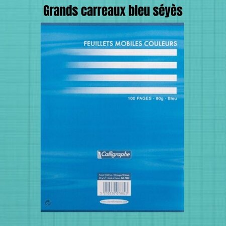 Feuillets mobiles bleu perforées 17x22 grands carreaux seyes 80g clairefontaine
