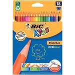 Etui carton de 18 crayons de couleur ECO KIDS EVOLUTION 18 Couleurs BIC