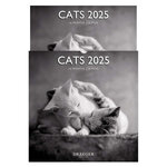 Grand Calendrier Mural 29x29 Cm - 2025 - Chats Black & White - Draeger paris