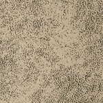 vidaXL Chaises de salle à manger 2 Pièces Gris clair 58 x 67 x 97 cm