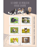 Collector - Chiens de compagnie