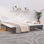 vidaXL Lit coulissant Gris 2x(100x200) cm Bois de pin massif