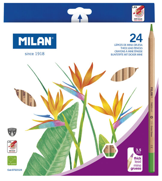 Crayons de couleur mine épaisse Ø 3 5 mm hexagonaux 24 pièces