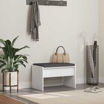 vidaXL Banc d'entrée avec coussin Blanc 63 x 38 x 40 cm