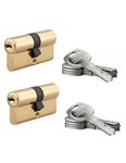 THIRARD - Lot de 2 cylindres de serrure double entrée Trafic 6  30x30mm  s'entrouvrant  laiton 5 clés/cylindre