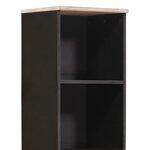 vidaXL Armoire de salle de bain Noir et Blanc 38 x 33 x 160 cm
