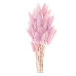 Lagurus séchés lilas - 45 cm