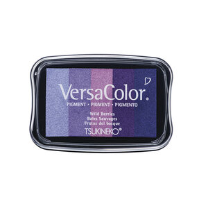 Tampon encreur "Versacolor"  teintes lilas  5 couleurs  4 7x7 5 cm