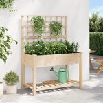 vidaXL Jardinière avec treillis et étagère 115x59x152 cm en bois massif de sapin