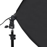 vidaXL Lampes de studio professionnelles 2 Pièces 40x60 cm Acier Noir