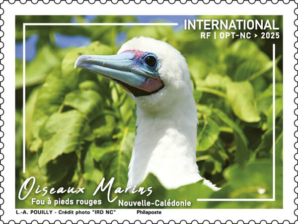 Timbre Nouvelle Calédonie - Oiseaux marins